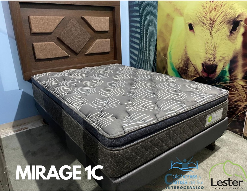 Lester - Mirage 1c Individual