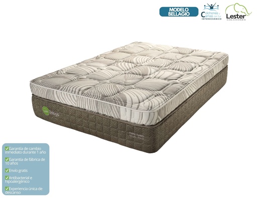 Lester - Bellagio Individual